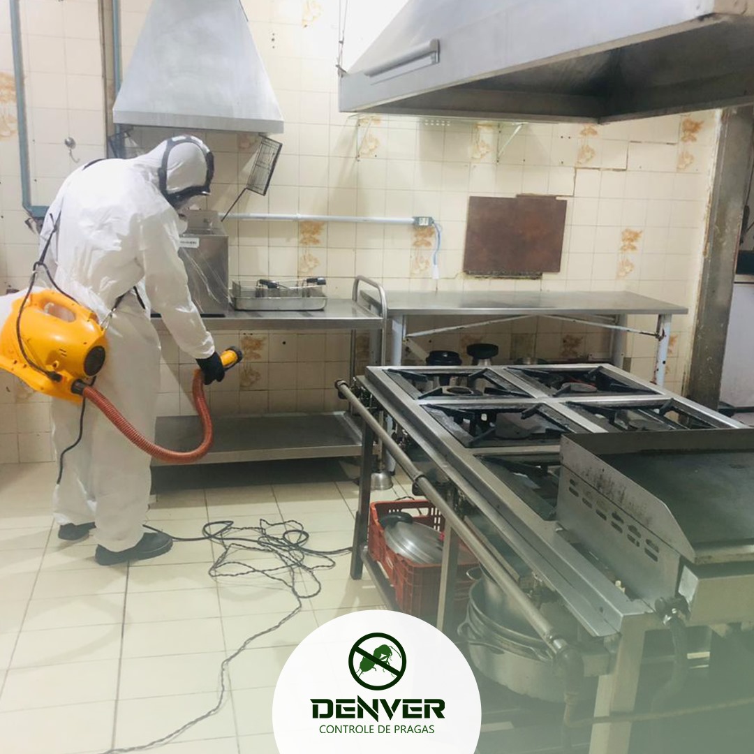 Imagem do WhatsApp de 2024-08-07 à(s) 13.38.47_5acd62e1