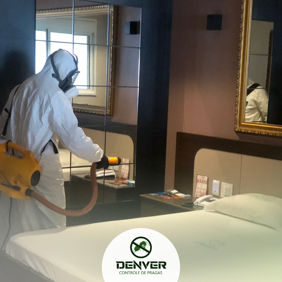 Imagem do WhatsApp de 2024-08-07 à(s) 13.38.51_474f2f25