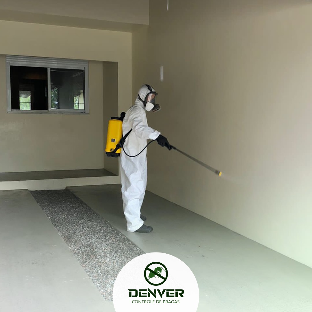 Imagem do WhatsApp de 2024-08-07 à(s) 13.38.52_1ef05ffb