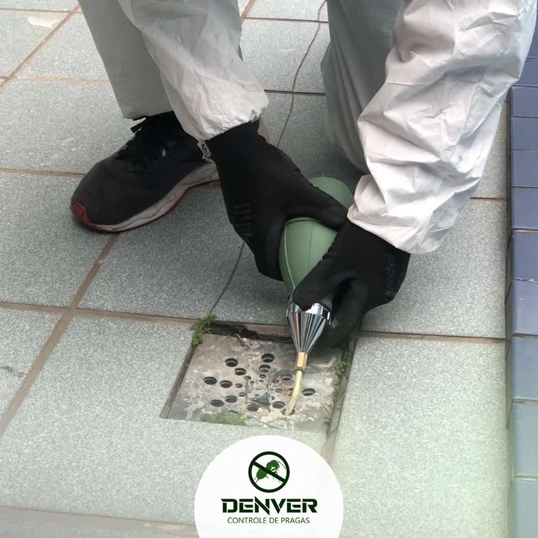 Imagem do WhatsApp de 2024-08-07 à(s) 13.38.53_ee6f2f6c